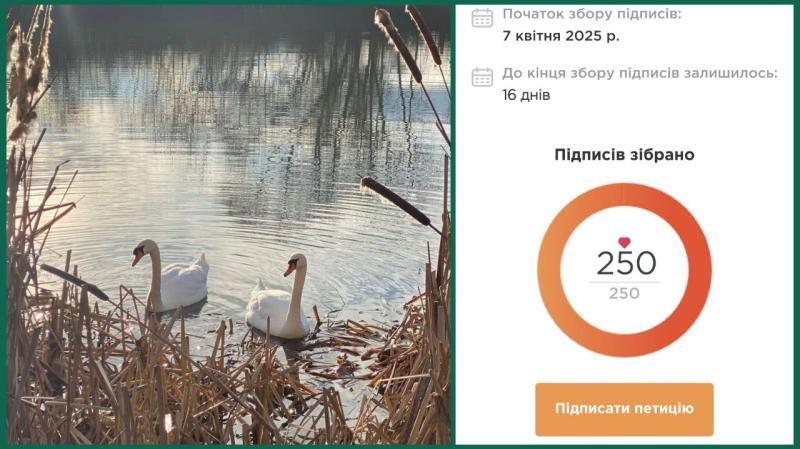 Петиція про створення парку "Чорні озера" в Ужгороді достроково назбирала необхідну кількість за 5 д