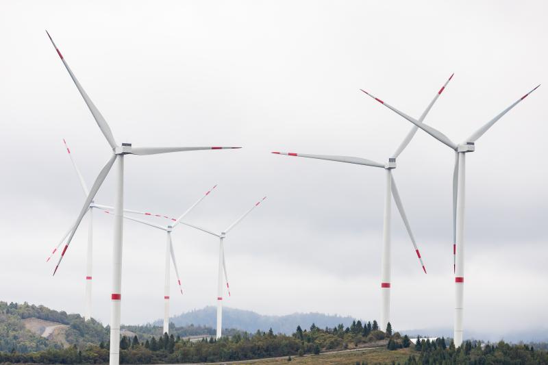Майбутнє — за вітровою енергетикою: суд підтвердив законність будівництва ВЕС на Полонина Руна