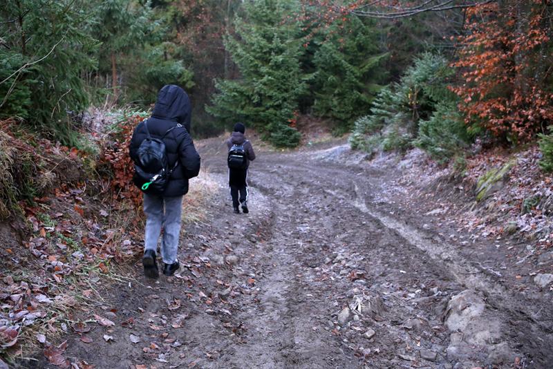 У гірському селі на Закарпатті діти щодня проходять 8 км, щоб дістатися до школи