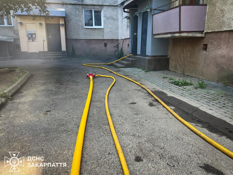 У Іршаві засіб від комарів спричинив пожежу - травмувалася жінка