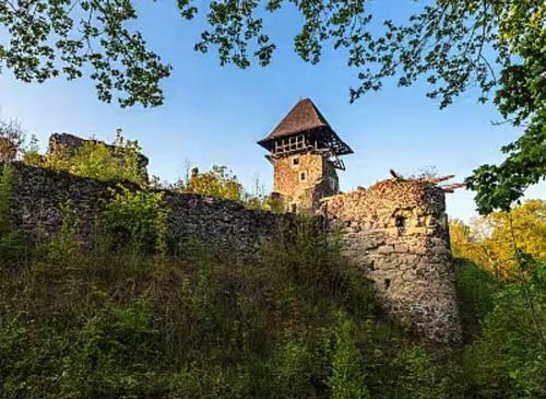 Чи поверне громаді коньячний барон Гісем землі біля Невицького замку