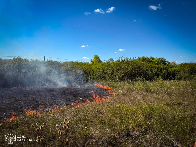 На Перечинщині жінка травмувалася намагаючись погасити вогонь, який підступав до житлових будинків