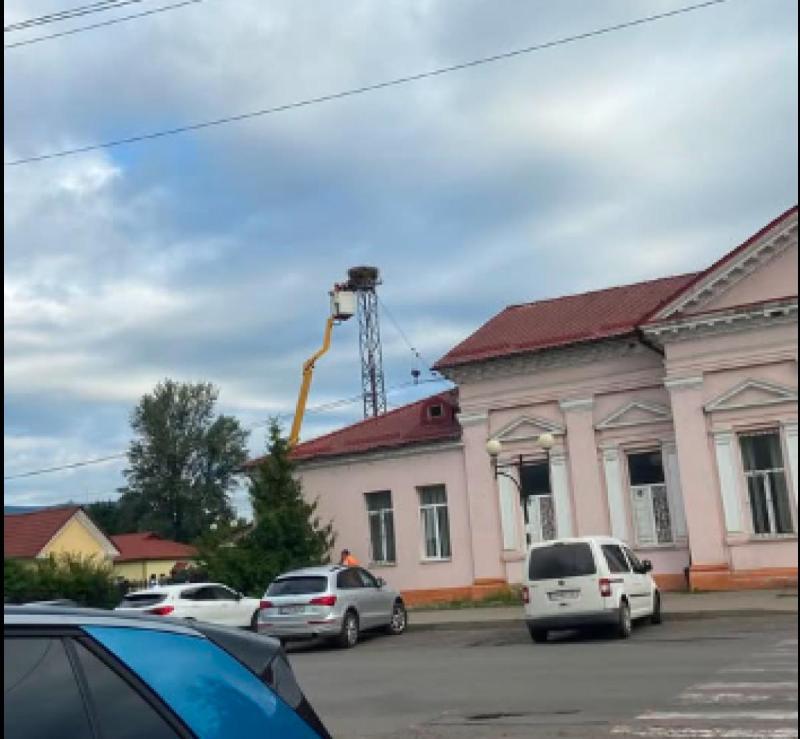 У Сваляві на вокзалі демонтували 50-річне гніздо лелек, в Укрзалізниці обіцяють його повернути