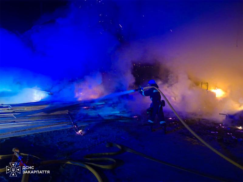Вогнеборці запобігли знищенню пилорами у Рахові