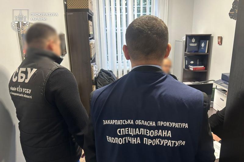 Екскерівника Берегівського надлісництва підозрюють у знищенні дубів у лісництві на 1,6 млн грн