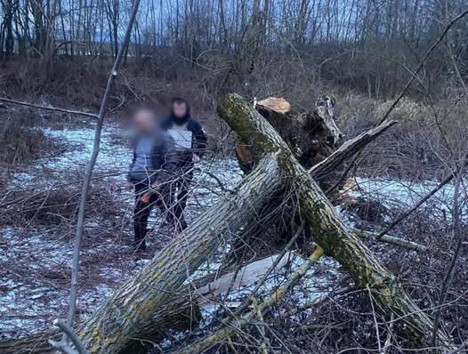 На Мукачівщині через падіння дерева загинула 8-річної дівчина